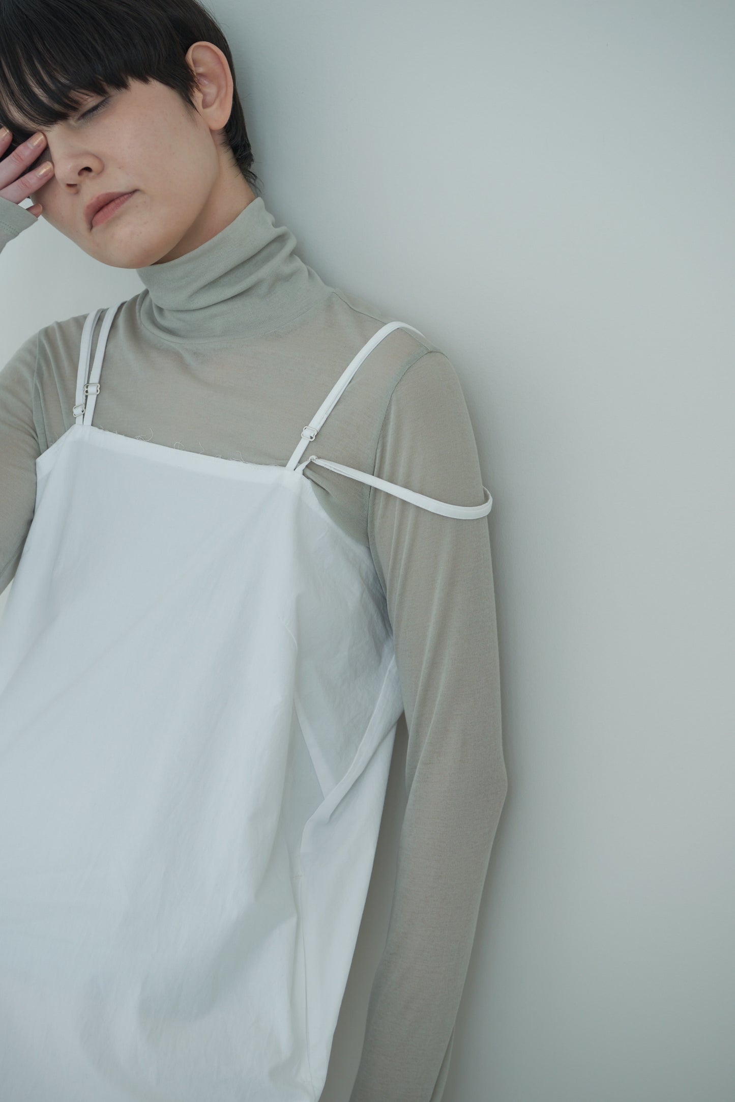 sheer turtle