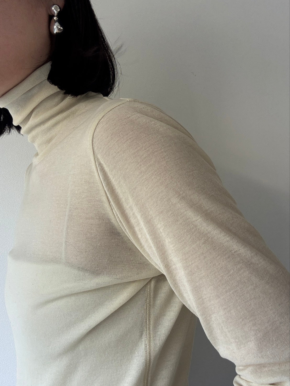 sheer turtle